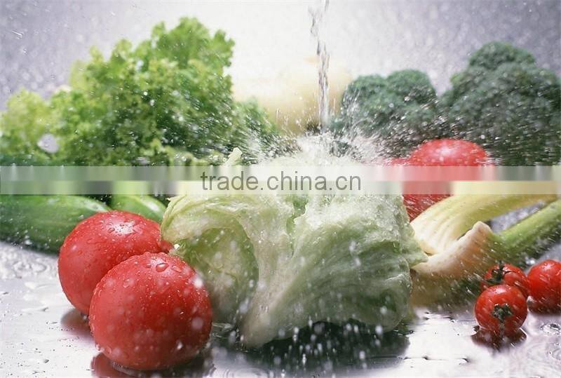 Household Usage Cleanroom Floor Wiper With EVA