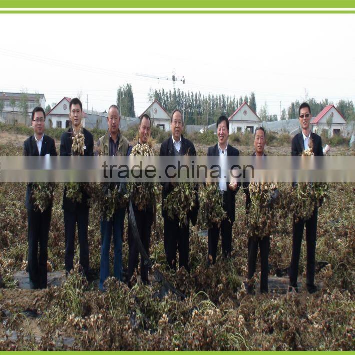 biological organic oilseed meals fertilizer