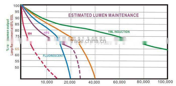 Induction Lamp Tunnel Light Commercial Lighting Company