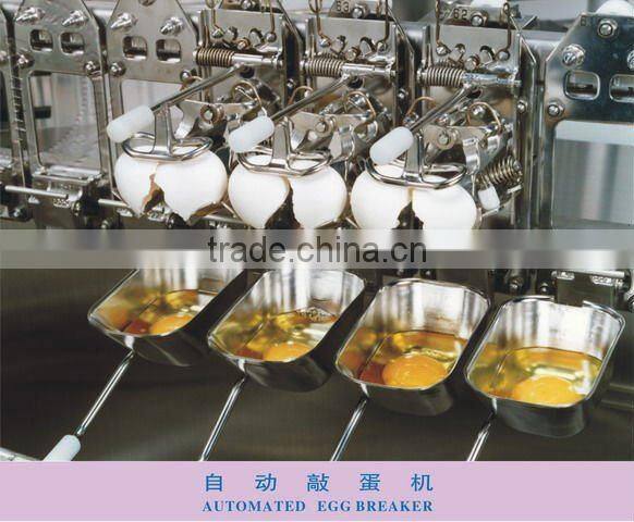 Full-Auto Egg Packing Processor