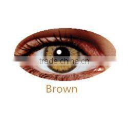 korea Eclipse yearly colour contact lenses 3 tone manufactured in korea
