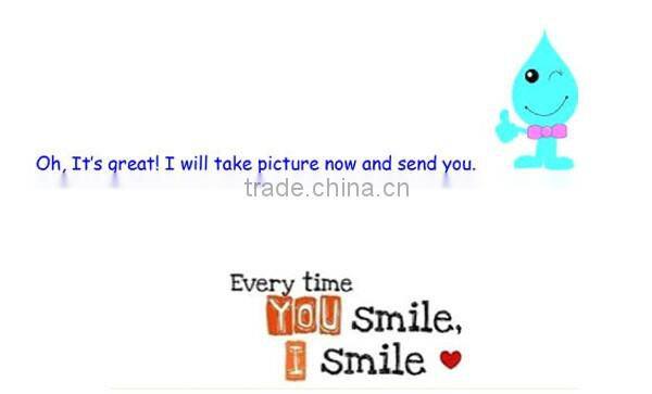 Glass Material and Personal Care Industrial Use 30ml glass dropper bottle