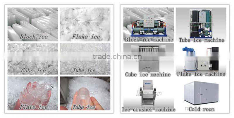 5 Tons Block Ice Making Plant Built in Container