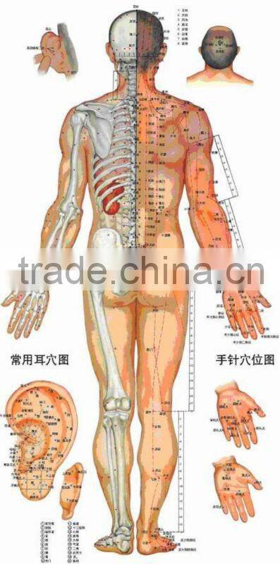 980nm IR Laser acupuncture 100mW medical instruments or pointer