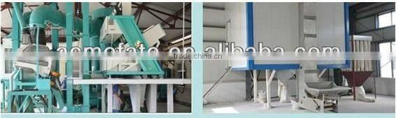 NEW CROP 100% Natural White Garlic Powder