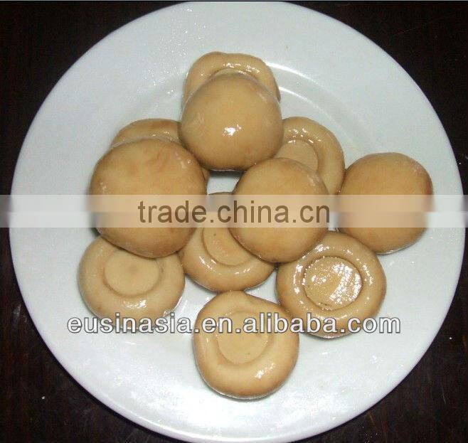 top quality seasoning canned champignon
