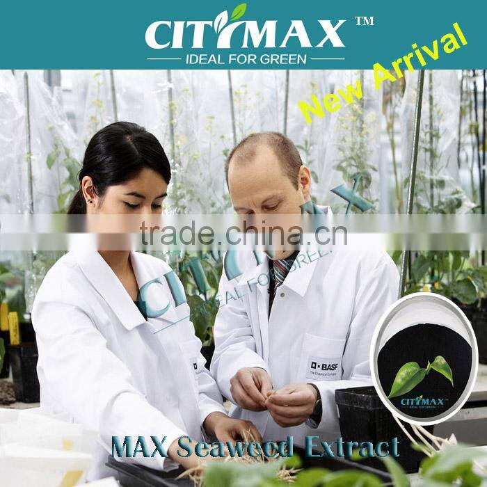 organic fertilizer seaweed extract