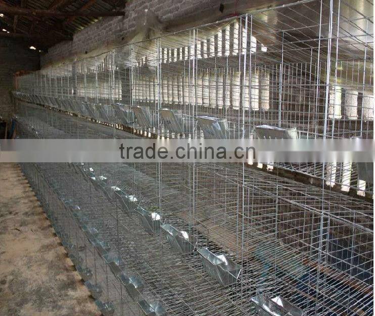 battery cage rabbit