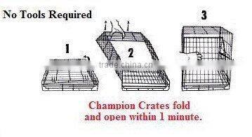 Folding Wire Pet Dog Cages With Plastic Tray