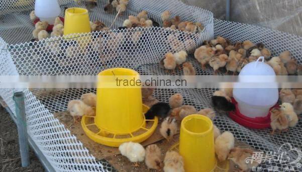 Wholesale plastic automatic chicken feeder