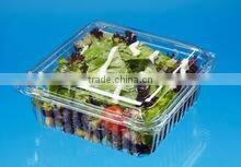 500g Disposable PET Mushroom Tray