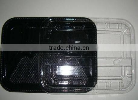 disposable lunch box