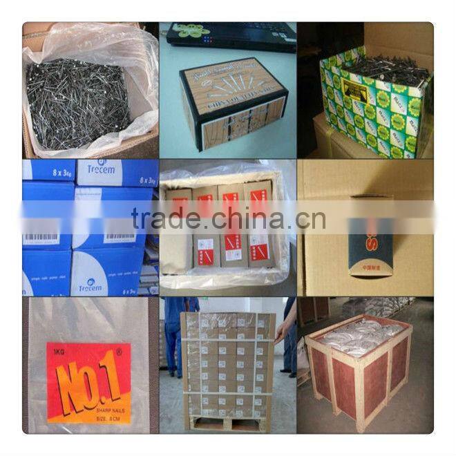 Wire Nail,Common Nail And Wood Nail Factory in China