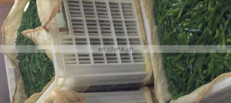 Vacuum meat tumbling machine with automatic feeding system