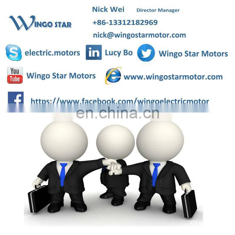 WINGO STAR ELECTRIC MOTOR Y2-100L-6 1.5KW 2HP