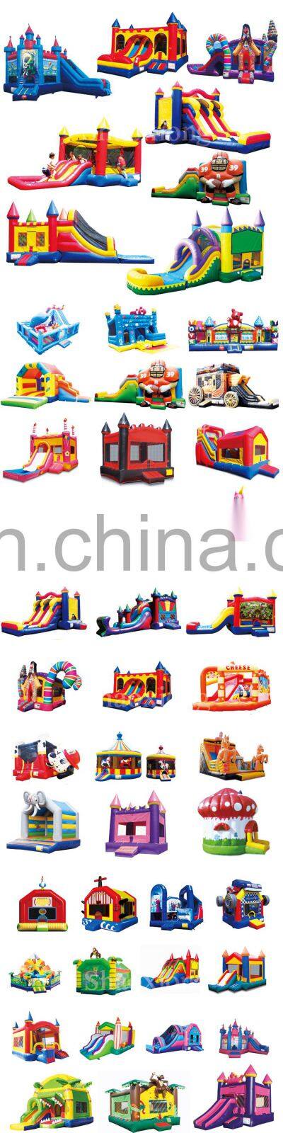 Inflatable Water Slide Inflatable Waterslide for Water Park Use