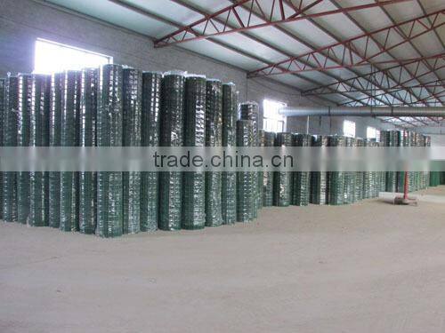 1/2 inch welded wire mesh/PVC coated welded wire mesh