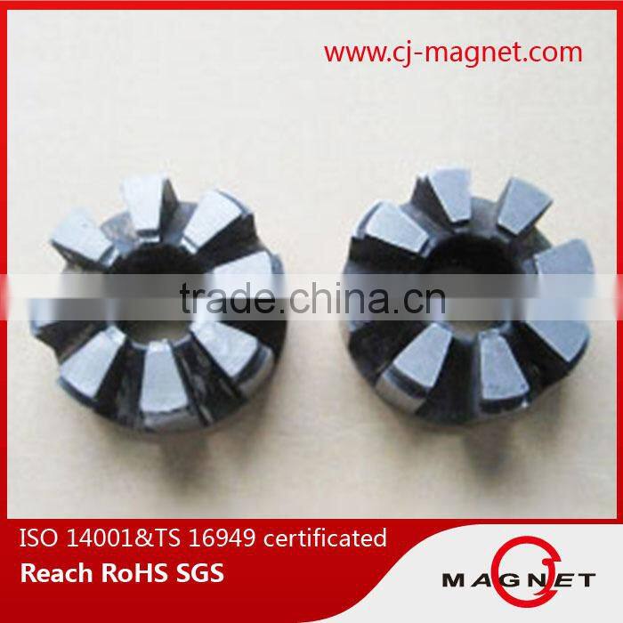 Permanent Strong customized Ferrite Magnets for Motors with holes