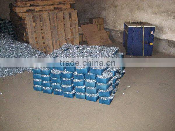 galvanized roofing nails with umbrella head/umbrella head nails /galvanzied roofing nail