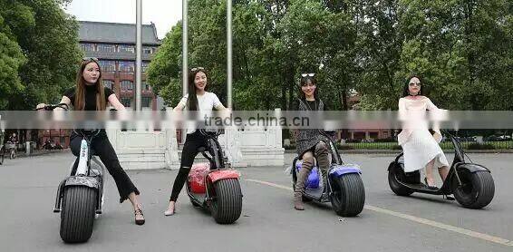 Hot sales 2016,wide tire eclectric scooter,two wheel E-scooter,48v/12ah motor