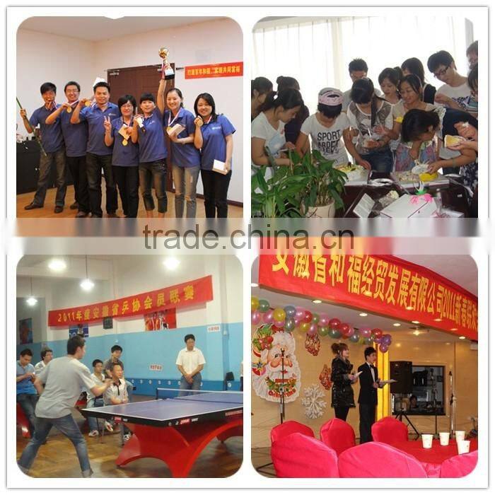 Anti-oxidation carbon electrodes