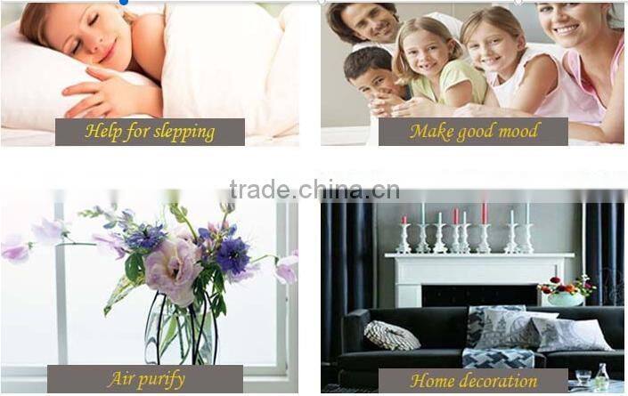 Personal Care Industrial Use Sealing Type 100ml exist mould Pump type feature not spill perfume sprayer