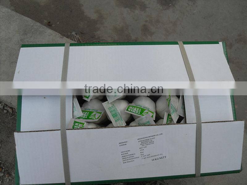 High Quality Normal White Garlic