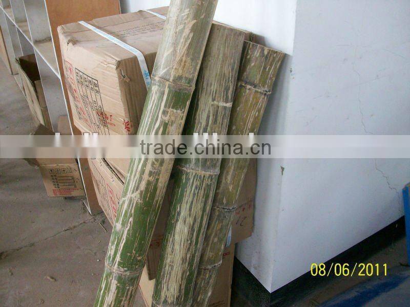 toothpick making and sorting machine