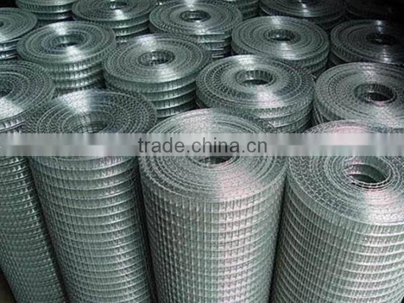 Galvanized Welded Wire Mesh from China Anping Factory