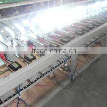 White hair in this field clutch disc toyota car parts