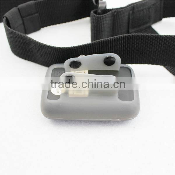 animal hottest gps tracking