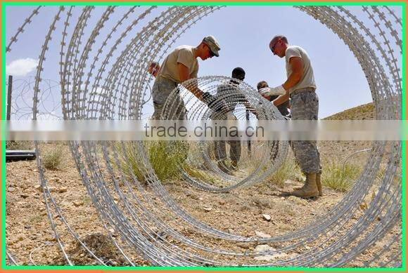 Razor Wire mesh (Factory)