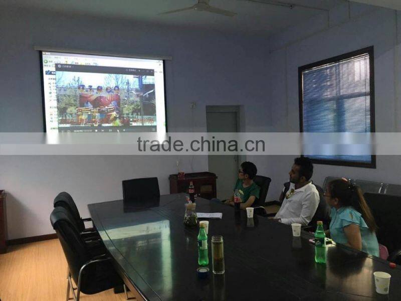 Giant kids inflatable amusement water slide