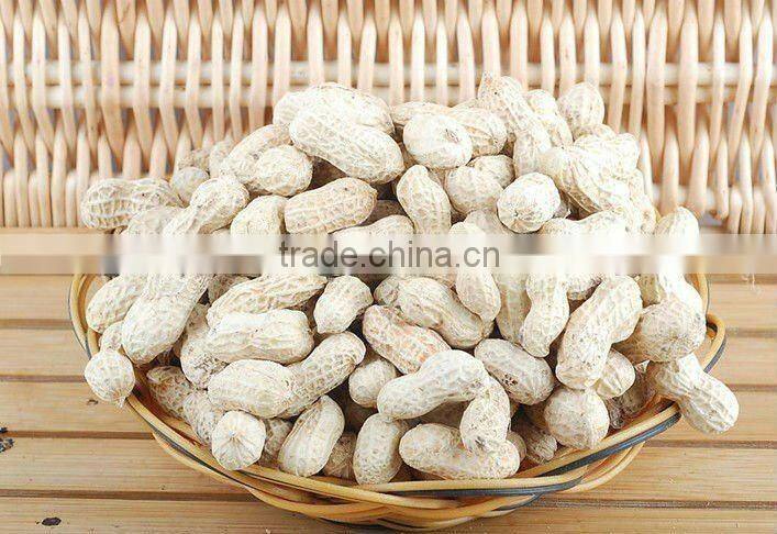 good quality peanut in shell from china