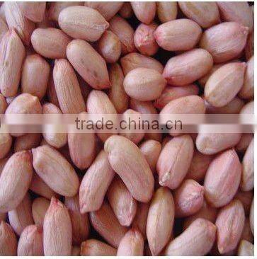Shandong organic roasted and blanched peanut