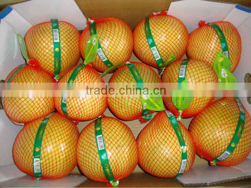 Fresh Guanxi honey pomelo top grade pomelo