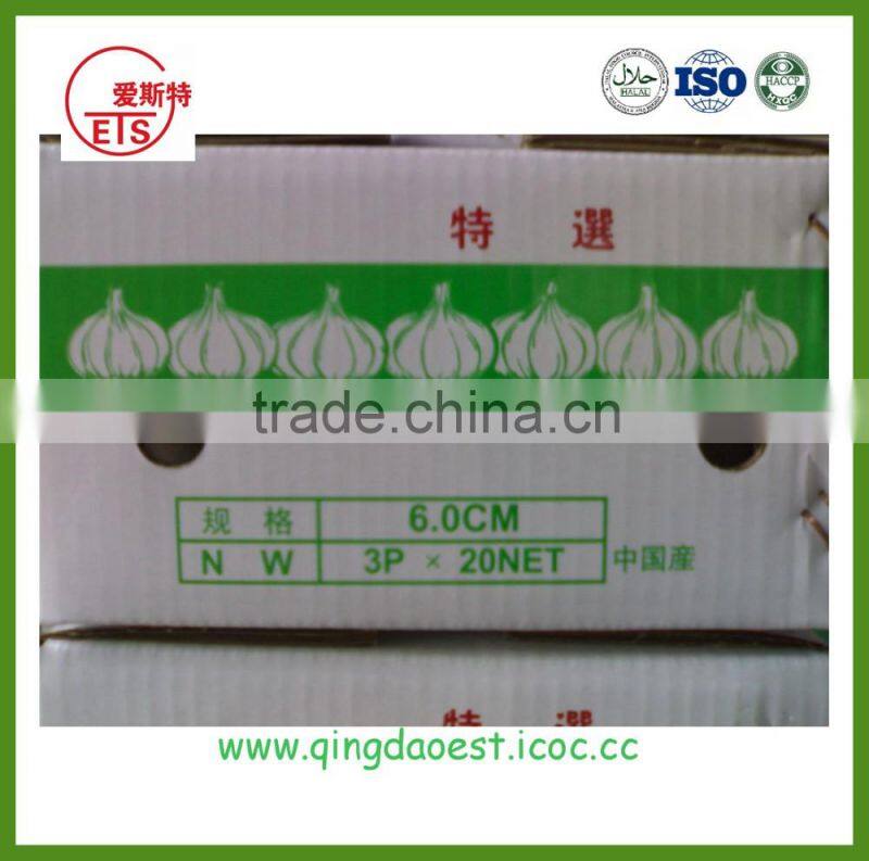 fresh white garlic size :4.5-6.0 cm