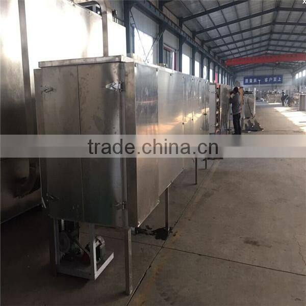 full-stainless and new design friut mesh belt dryer