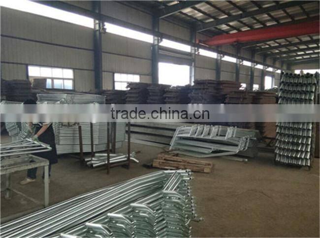 Pig farm farrowing pen sow gestation stall