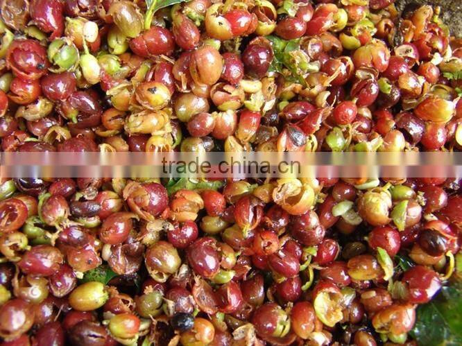 Popular High Efficiency Manual Coffee Pulper