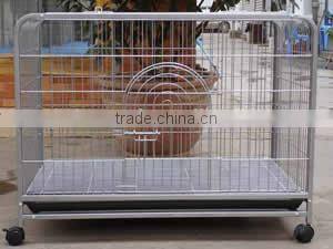 Welded wire bird cage and animal cage for pigeon or parrot or rabbit/pet cage