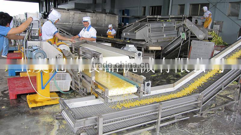 IQF frozen vegetables production line for vegetables and fruits