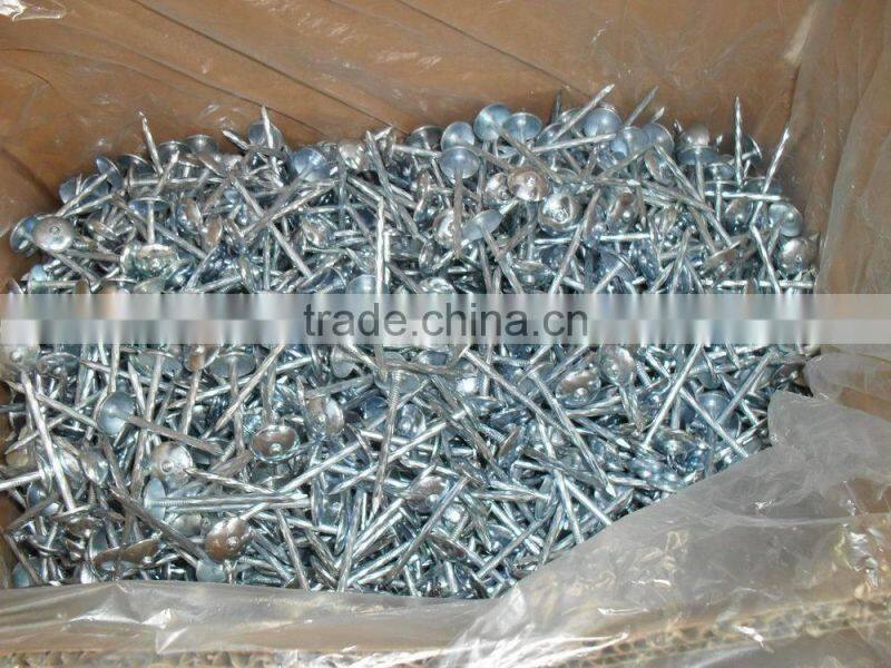 1.5"*14G Umbrella Head smooth plain Shank Roofing Nail china factory