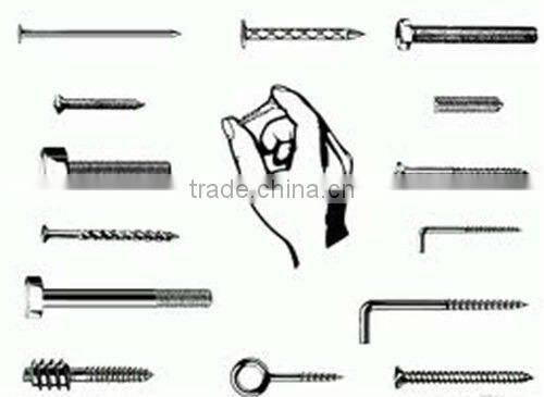 Shoe Tack Nails-Hebei China Supply Best Quality and Price