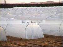 pp winter fleece plant cover/mulch vlies