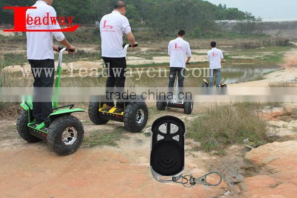 Leadway6 groups gyroscope electric quad bike off road( RM09D-T569)