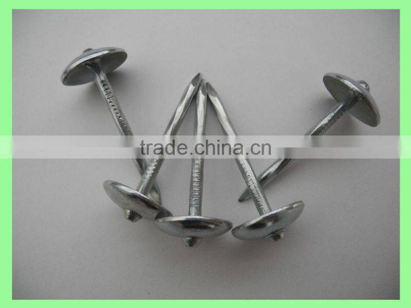 2.5'' umberlla roofing nails, 25kg per carton/50kg/gunny bag