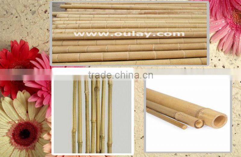 raw tonkin bamboo canes moso bamboo poles used for decoration