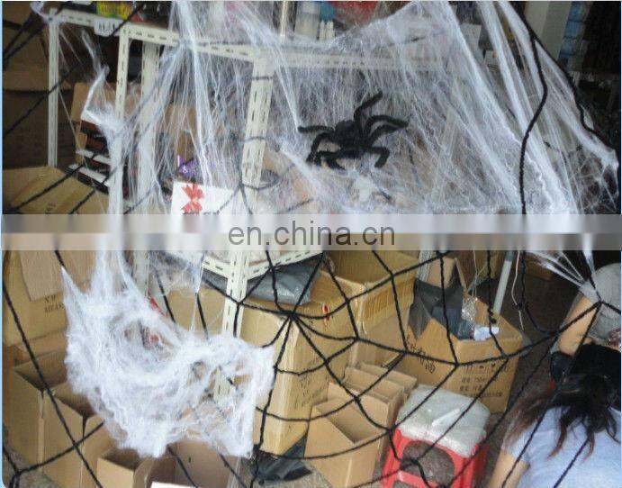 halloween spider web