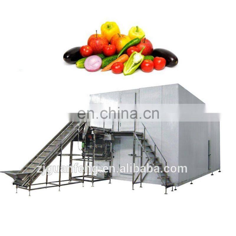 Professional air blast freezer frozen iqf strawberries machinery industrial blast freezers